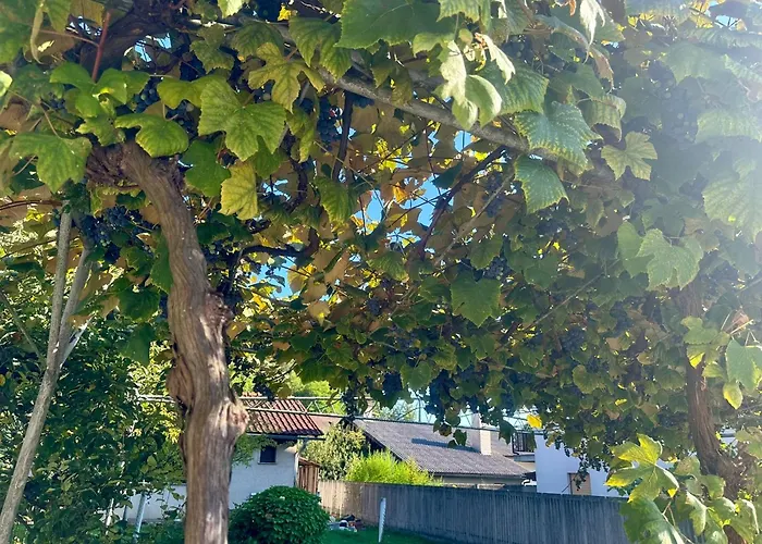 Apartamento New Lunarglow 3-room With Free Parking *