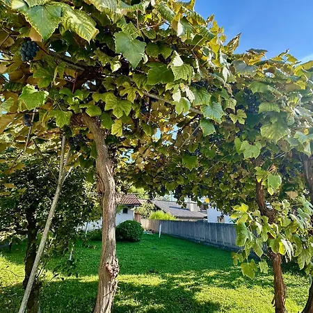 New Lunarglow 3-room With Free Parking דירה לובליאנה