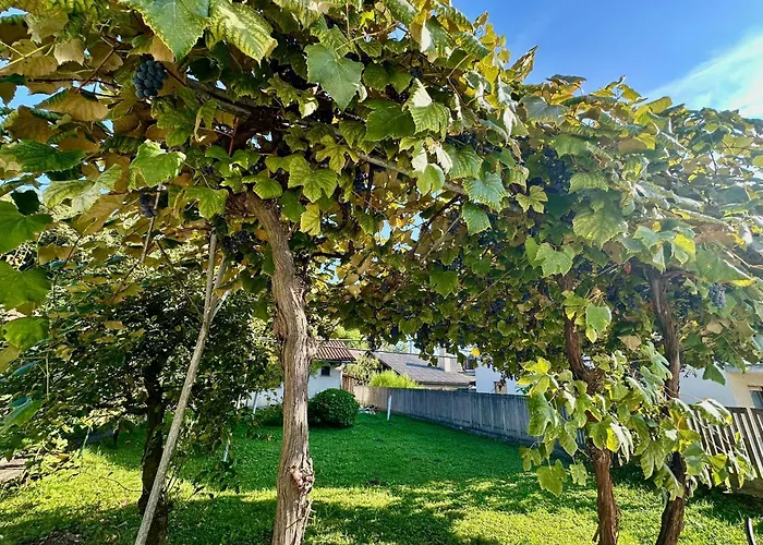 New Lunarglow 3-room With Free Parking Apartment Ljubljana